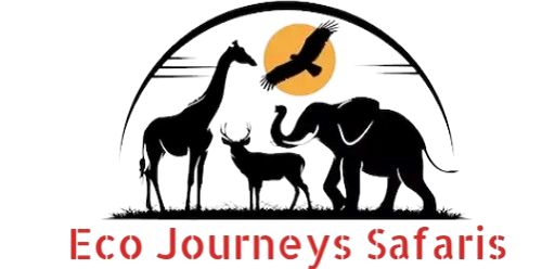 Eco Journeys Safaris